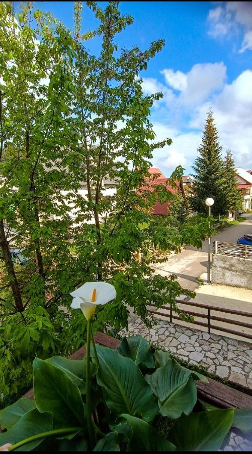 Sipcic Apartment Žabljak