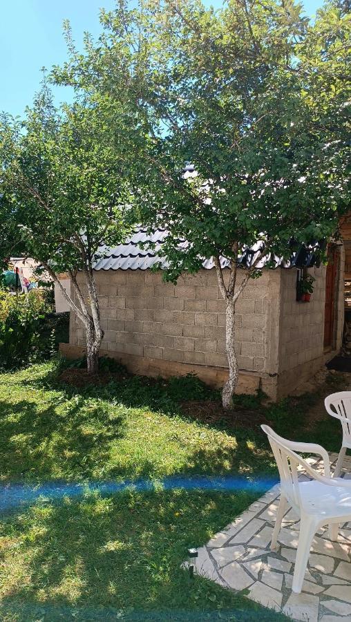 Apartment Sipcic Žabljak